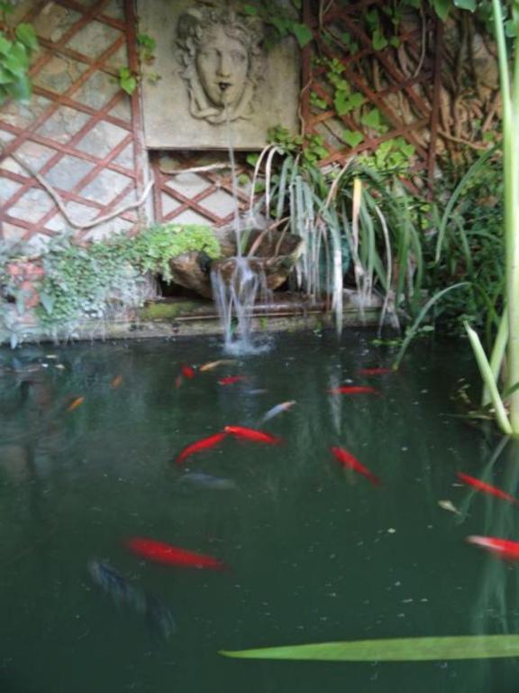 Casa Montes Bed & Breakfast Salses le Chateau Bagian luar foto
